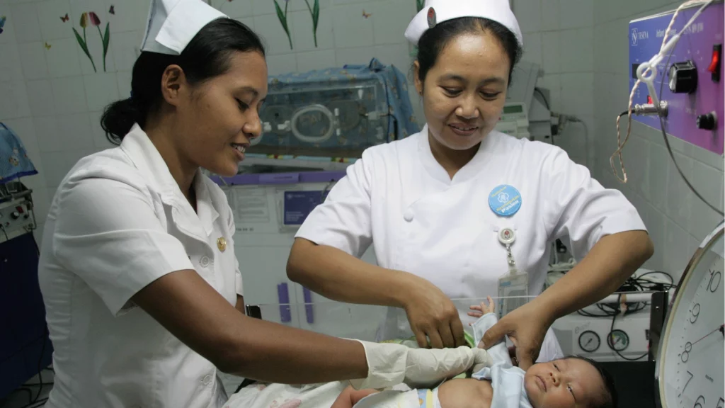 Australia Indonesia Partnership for Maternal and Neonatal Health