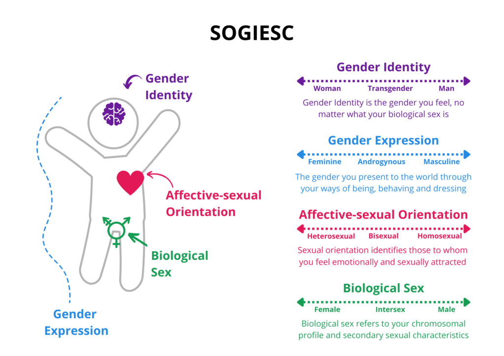 SOGIESC is an inclusive term that applies to all people, regardless of their Sexual Orientation, Gender Identity, Gender Expression & Sex Characteristics. All people fit somewhere within this diagram.